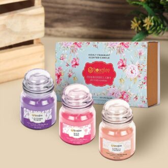 Boxglee Scented Large Jar Candles, Rose, Lavender, Vanilla